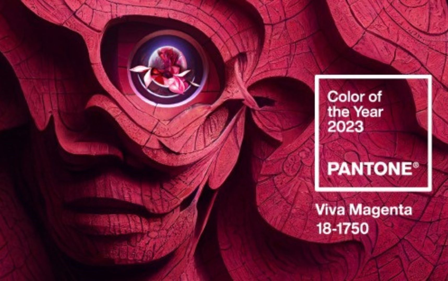 A Pantone 2023 év színe, a Viva Magenta 18-1750