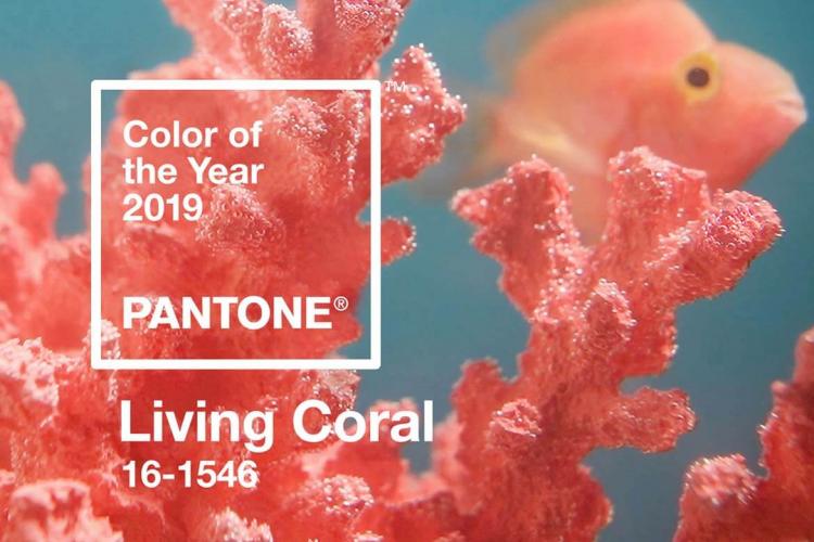 Living Coral – a 2019-es év színe